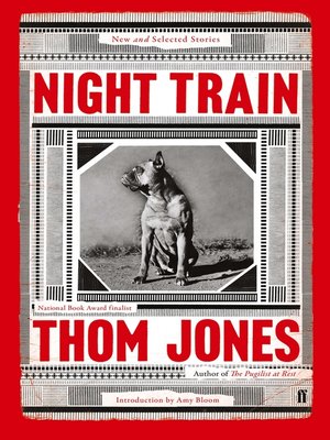 cover image of Night Train